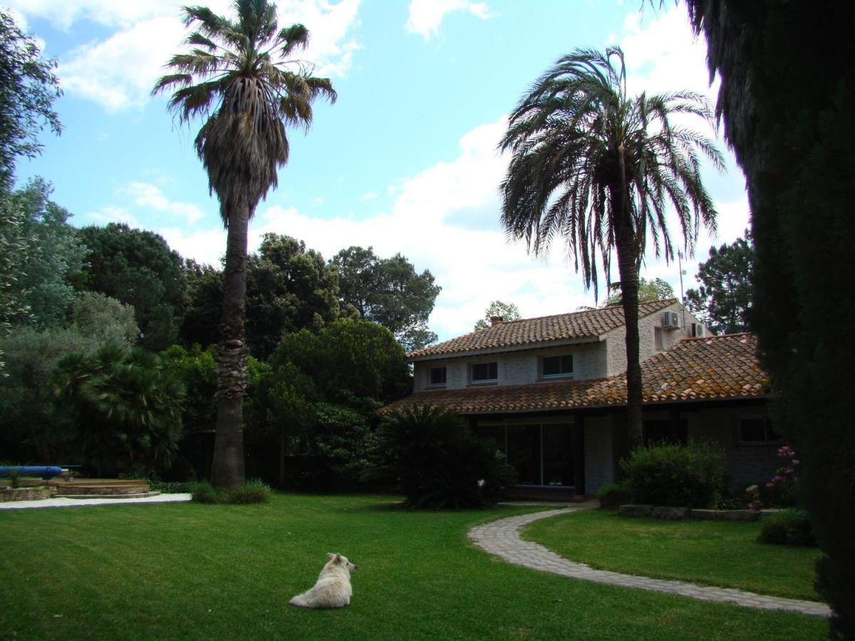 La Villa Saint Andre - Argeles Sur Mer Buitenkant foto